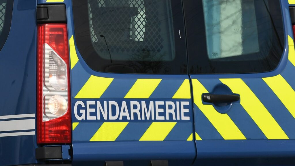 Disparition de Lina : quelle différence entre une fugue, une "disparition inquiétante" et une "alerte enlèvement" ?
              Malgré de nouvelles recherches, l'adolescente de 15 ans reste introuvable depuis samedi, dans le Bas-Rhin. Les enquêteurs n'"écartent aucune piste" dans cette disparition jugée "inquiétante".