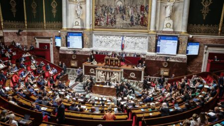 Écologistes visent vice-présidents RN à l’Assemblée Nationale, peu de chances de succès Assemblée nationale : la manœuvre des écologistes pour déloger les vice-présidents RN a peu de chances d'aboutir
Yaël Braun-Pivet réunit mardi les présidents de groupes à l'Assemblée nationale pour parler du renouvellement du bureau. Les deux vice-présidences RN de l'Assemblée nationale sont dans le viseur des écologistes.