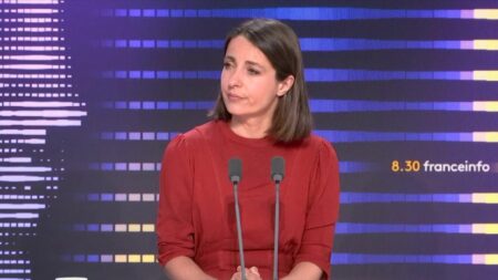 Manifestations anti-violences policières : Sophie Binet (CGT) appelle à moins d’armement pour les policiers Manifestations contre les violences policières : "Il faut rompre avec le principe de toujours moins de policiers toujours plus armés", estime Sophie Binet de la CGT
Une centaine de marches contre les violences policières sont organisées ce samedi à l'appel de plusieurs organisations : la CGT, FSU, Attac ou encore Solidaires.