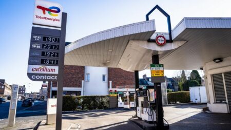 Baisse de la production, consommation historique... Pourquoi les prix des carburants repartent (encore) à la hausse
              Après une légère pause mi-août, les prix du gazole et du sans-plomb remontent à nouveau. Et cette augmentation, déjà importante en juillet, pourrait durer, après les annonces des membres de l'Opep+, l'Arabie saoudite et la Russie en tête.
