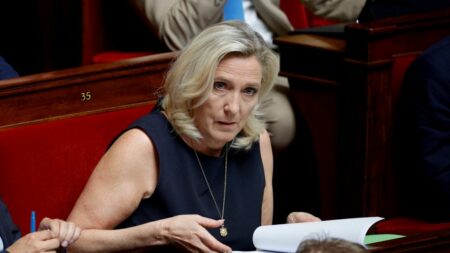 Procès requis pour Marine Le Pen et 26 autres dans l’affaire de détournement de fonds du FN Affaire des assistants du FN au Parlement européen : un procès requis contre Marine Le Pen et 26 autres personnes
L'ex-présidente du Front national est soupçonnée d'avoir participé à un système de détournement de fonds publics européens entre 2004 et 2016.
