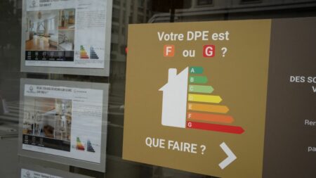 Report d’interdiction de location de passoires thermiques soutenu par l’Union Nationale des Propriétaires Passoires thermiques : le report de l'interdiction de location serait du "bon sens" pour un représentant des propriétaires
L'Union nationale des propriétaires immobiliers soutient l'idée de Bruno Le Maire de reporter l'interdiction de louer des passoires thermiques. La loi a pourtant été votée, avec une application progressive à partir du 1er janvier 2025.
