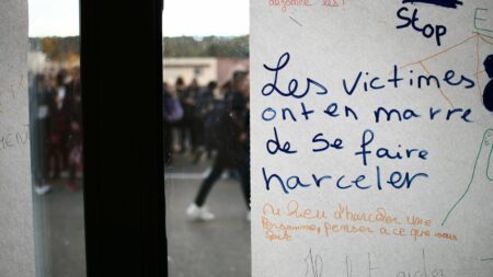 "Le risque est de noyer l'institution" : pourquoi la justice se heurte à la complexité du harcèlement scolaire
              Comment la justice peut-elle mieux lutter contre le harcèlement scolaire ? Après la mise en place de peines plus lourdes, elle mise désormais sur les parents pour repérer les situations les plus graves.