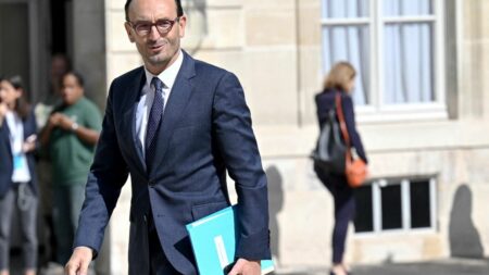 Taxer "les profits excessifs" des raffineurs : "C'est sur la table", confirme le ministre délégué chargé des Comptes publics
              Thomas Cazenave, ministre délégué chargé des Comptes publics, se dit en revanche opposé à la mise en place d'une aide sur le carburant pour les ménages.