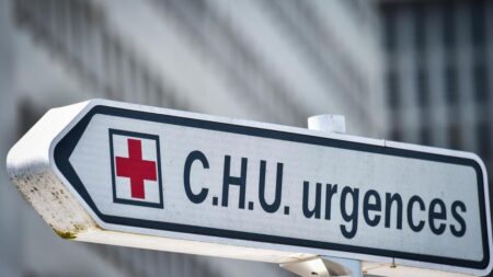 Une femme décède dans une épidémie de botulisme à Bordeaux liée aux sardines