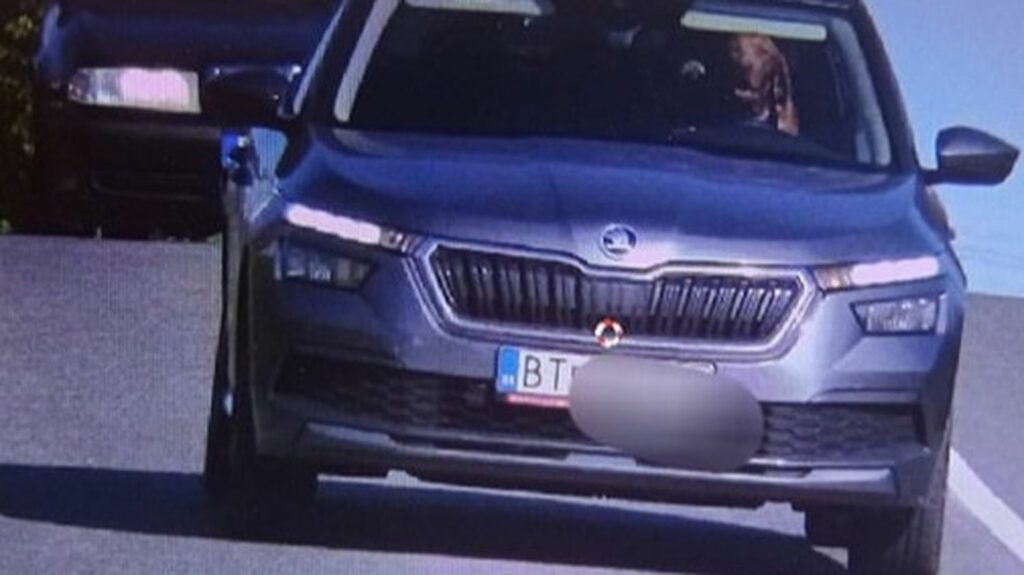 Slovaquie : un chien a été filmé en excès de vitesse au volant d'une voiture
              En Slovaquie, un automobiliste a écopé d'une amende la semaine dernière parce que son chien a été filmé au volant de sa voiture, en excès de vitesse.
