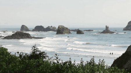 États-Unis : Cannon Beach, une plage sur grand écran
                  Aux États-Unis, direction Cannon Beach, dans le nord du Pacifique, avec ses rochers emblématiques. Une véritable attraction. C’est aussi un lieu mythique qui a inspiré de nombreux films hollywoodiens.