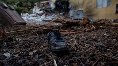 Crimes de guerre, crimes contre l'humanité… Comment qualifier les attaques dans la guerre entre Israël et le Hamas ?
                  Alors que le conflit a déjà fait des milliers de morts en quelques jours, une question sémantique s'est installée dans le débat public en France.