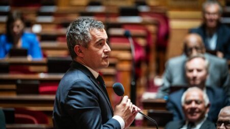 Darmanin accuse Mélenchon d’importer le conflit Israël-Hamas en France via ses propos Guerre entre Israël et le Hamas : Gérald Darmanin accuse Jean-Luc Mélenchon de favoriser l'"importation" du conflit en France avec ses "propos ignominieux"
Selon le ministre de l'Intérieur, invité de France Inter ce jeudi, "il y a quelque chose de très cynique dans le comportement de Monsieur Mélenchon".