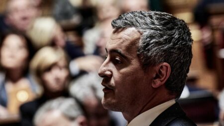 Darmanin soutient la régularisation des travailleurs sans-papiers dans métiers en tension dans projet de loi immigration Projet de loi immigration : Gérald Darmanin veut conserver l'article permettant la régularisation des travailleurs dans les métiers en tension
Lors du déjeuner, jeudi, entre le ministre de l'Intérieur et les sénateurs, Gérald Darmanin a indiqué que régularisation des travailleurs sans-papiers dans les métiers en tension ne pouvait pas faire l'objet d'une simple circulaire.