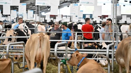 EELV tente une opération séduction auprès des agriculteurs au Sommet de l’élevage Politique : EELV en opération séduction auprès du monde rural, au Sommet de l'élevage
Au sommet de l'élevage à Cournon-d'Auvergne, près de Clermont-Ferrand, une délégation d'élus d'EEVL est allée à la rencontre des agriculteurs pour tenter une opération séduction.