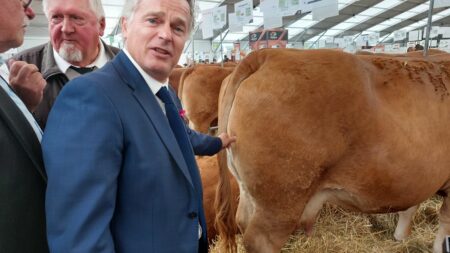Élections européennes : Combat de Roussel et Bardella au sommet de l’élevage, Puy-de-Dôme Élections européennes : Fabien Roussel et Jordan Bardella, un combat à distance au sommet de l'élevage dans le Puy-de-Dôme
Les patrons du Parti communiste français et du Rassemblement national ont arpenté jeudi les allées du salon de l'élevage près de Clermont-Ferrand. Tous les deux revendiquent un lien de proximité avec les agriculteurs.