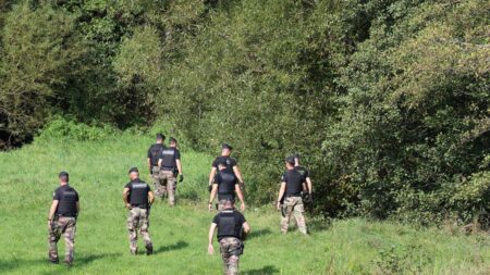 Disparition de Lina : une enquête criminelle ouverte pour "enlèvement ou séquestration", deux juges d'instruction saisis
              L'adolescente a disparu depuis plus d'une semaine entre deux communes du Bas-Rhin, alors qu'elle devait prendre un train.