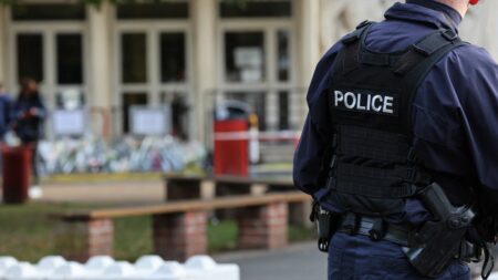 Fausses alertes à la bombe : qui sont les "petits plaisantins" pointés du doigt par Eric Dupond-Moretti ?
          Vingt-deux enquêtes ont été ouvertes en lien avec les fausses alertes à la bombe qui se multiplient ces derniers jours, a déclaré vendredi le ministre de la Justice sur RTL.