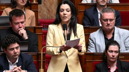 Ex-collaboratrice accuse Sophia Chikirou, députée LFI, de mauvais comportement: ‘Elle nous traitait de sales rats’ Témoignage
"Elle nous traitait de sales rats qu'elle voulait écraser" : une ex-collaboratrice dénonce le comportement de Sophia Chikirou
La députée LFI, intime de Jean-Luc Mélenchon depuis plus de dix ans, se retrouve dans la tourmente. Prochainement convoquée en vue d'une possible mise en examen pour "escroquerie aggravée", son attitude est également dénoncée en interne.