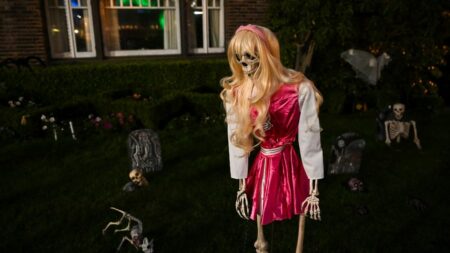 Grève à Hollywood : les acteurs priés par leur syndicat de ne pas se déguiser en "Barbie" ou "Stranger Things" pour Halloween
          Le syndicat SAG-AFTRA a demandé à ses 160 000 membres de ne pas se déguiser en personnage d'œuvres liées aux studios visés par la grève.