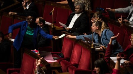 Guerre Israël-Hamas: Tensions et divisions au sein de La France Insoumise, Obono au centre Comment la guerre entre Israël et le Hamas exacerbe les divisions au sein de La France insoumise
La députée insoumise Danièle Obono se retrouve au cœur d'une polémique après avoir qualifié mardi le Hamas de "mouvement de résistance". De quoi agacer les partenaires de gauche du mouvement, mais aussi certains de ses collègues LFI.