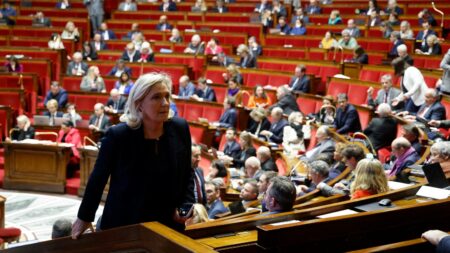 Les députés de la majorité mal à l’aise face à la niche parlementaire du Rassemblement national Parti "attrape-tout", "démagogie"... La niche parlementaire du Rassemblement national crispe (déjà) certains députés de la majorité
Malgré des textes aux accents consensuels, reprenant parfois dans l'esprit des propositions d'autres groupes, le RN avance sans grand espoir de voir ses textes adoptés... Mais le parti de Marine Le Pen met mal à l'aise la majorité.