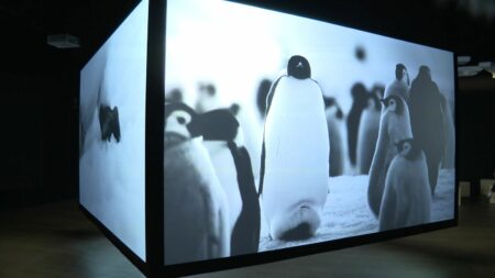 À Lyon, Luc Jacquet, réalisateur de "La marche de l’empereur", invite à un voyage immersif en "Terra incognita"
              Le musée des Confluences présente la nouvelle exposition du réalisateur oscarisé en 2006 pour son documentaire sur les manchots empereurs. Luc Jacquet entraîne le public au bout du monde, de la Patagonie au pôle Sud.