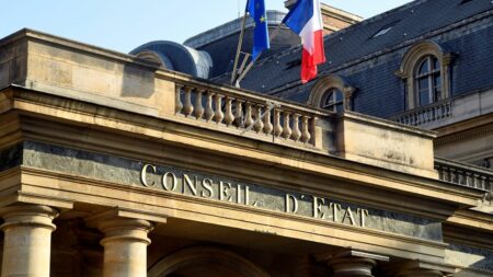 Manifestations propalestiniennes : les préfets apprécieront "au cas par cas, si le risque de troubles à l’ordre public justifie une interdiction", acte le Conseil d'Etat
          Si elle a rejeté mercredi le recours qui avait été déposé contre un télégramme de Gérald Darmanin, la plus haute juridiction administrative écrit toutefois qu'"aucune interdiction ne peut être fondée uniquement sur ce télégramme" ou "sur le seul fait que la manifestation vise à soutenir la population palestinienne".