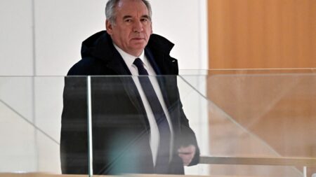 30 mois de prison avec sursis et 70 000 € d’amende requis contre Bayrou dans l’affaire des assistants MoDem Assistants parlementaires du MoDem : 30 mois de prison avec sursis et 70 000 euros d'amende requis contre François Bayrou
A l'encontre de dix autres cadres et élus centristes, l'accusation a réclamé des peines allant de 8 à 20 mois de prison avec sursis et de 10 000 à 30 000 euros d'amende, avec des peines d'inéligibilité là aussi avec sursis. Le procès doit s'achever le 21 novembre.