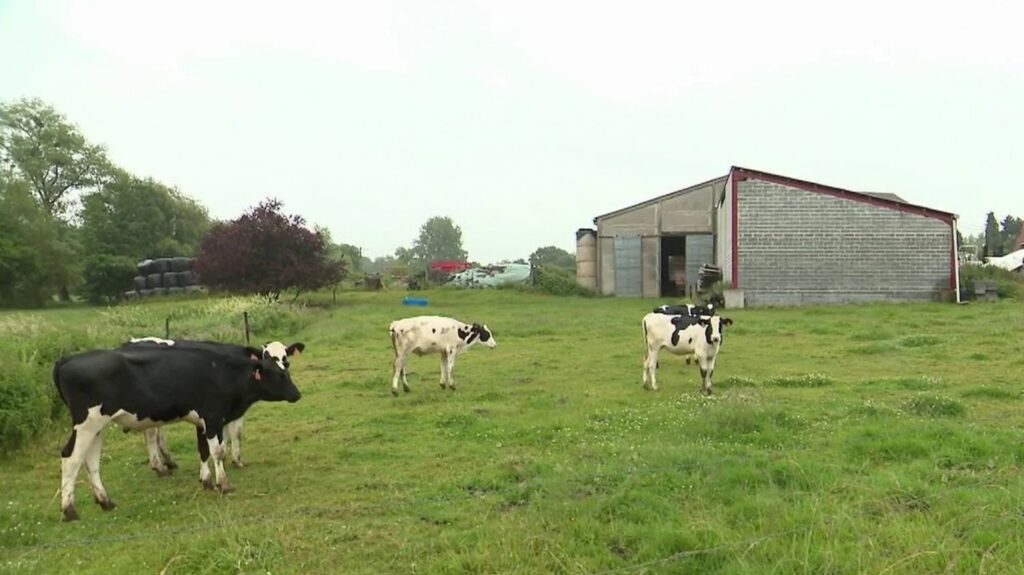 Conflits à la campagne : bientôt une loi pour protéger les agriculteurs ?
          Près de 500 procédures opposent les agriculteurs et les néo-ruraux. Les citadins venus s'installer à la campagne acceptent mal le bruit des tracteurs ou les odeurs des troupeaux et saisissent la justice. Une proposition de loi devrait permettre de protéger les agriculteurs.