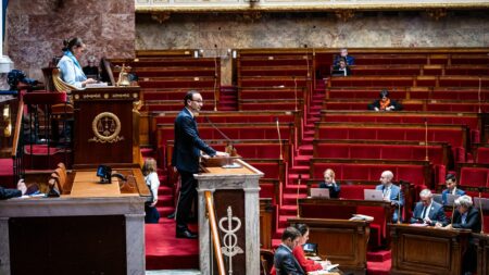 Assemblée nationale vote aide supplémentaire pour familles monoparentales à Noël, 600 000 potentiellement concernées L'Assemblée nationale vote une aide supplémentaire pour les familles monoparentales à Noël
La mesure, qui pourrait concerner 600 000 familles, devra encore être votée par le Sénat.