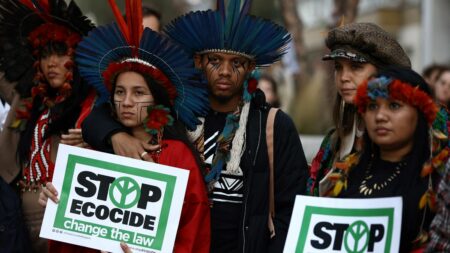 Environnement : l'Union européenne s'apprête à entériner dans son droit le crime d'écocide
          Ce texte "révolutionnaire" permettra de condamner, par exemple, "un épandage massif de pesticides, des marées noires, des destructions d'écosystème, des feux de forêts", explique l'eurodéputée Marie Toussaint sur France Inter.