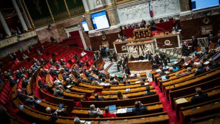 Assemblée nationale : les députés adoptent la proposition de loi "bien vieillir"
          Le texte comprend notamment des mesures de lutte contre l'isolement des personnes âgées et un dispositif pour signaler les cas de maltraitance.