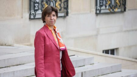 Difficulté d’audience de Catherine Colonna, Ministre des Affaires Étrangères, dans la libération des otages du Hamas ÉDITO. Catherine Colonna, ministre des Affaires étrangères, peine à se faire entendre
Dans le dossier de la libération des otages retenus par le Hamas, le chef de l’État s'est appuyé sur Sébastien Lecornu, ministre de la Défense et sur Jean-Yves Le Drian, ancien ministre des Affaires étrangères. Catherine Colonna, elle, "n’imprime pas", se désole-t-on dans la majorité.