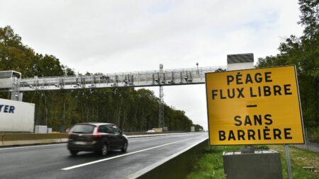 "Avant de verbaliser, il faut informer" : l'expérimentation des autoroutes sans péage suscite des crispations
          En décembre 2024, les barrières de péage devraient disparaître sur les autoroutes A13 et A14, entre Paris et la Normandie, pour laisser place à des portiques automatiques. Un dispositif déjà en place sur une portion de l'A79, mais pas toujours bien compris par les usagers.