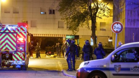 ÉDITO. Comment l’extrême droite souffle sur les braises du meurtre du jeune Thomas
          La petite ville de Romans-sur-Isère dans la Drôme a été le théâtre d’incidents violents provoqués par l'ultradroite, samedi soir, une semaine après la mort d'un adolescent.