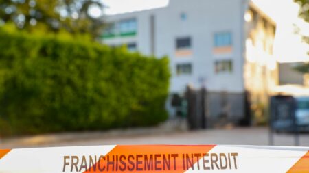 Grenoble : six adolescents placés en garde à vue après de fausses alertes à la bombe
          Poursuivis pour délit de "divulgation d'information fausse de sinistre de nature à provoquer l'intervention des secours", ils encourent des peines de deux ans d'emprisonnement et de 30 000 euros d'amende