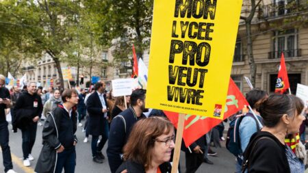 Lycée professionnel : les syndicats appellent à une grève le 12 décembre pour "exiger le retrait" de la réforme
          L'intersyndicale s'oppose à la réforme proposée par Emmanuel Macron pour améliorer l'insertion professionnelle des jeunes.