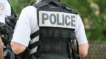 Marseille : 24 personnes interpellées mardi, soupçonnées d'appartenir au gang DZ Mafia
          Il y a une semaine, neuf personnes du clan Yoda ont été mises en examen pour trafic de stupéfiants par le parquet de Marseille. De nouvelles interpellations ont eu lieu mardi dans la ville mais visant cette fois le gang adverse, DZ Mafia.