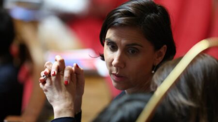 « Passer à l’action après effets de manche » dit Laure Lavalette, députée RN, lors des Rencontres de Saint-Denis. Rencontres de Saint-Denis : "Après ces effets de manche et de communication, il va falloir passer à l'action", affirme la députée RN Laure Lavalette
Emmanuel Macron et les chefs de partis étaient réunis vendredi à Saint-Denis. Jordan Bardella, du Rassemblement national était présent, contrairement à Eric Ciotti (LR) ou Olivier Faure (PS). "On y est allé parce que je pense que c'est notre rôle de premier parti d'opposition", justifie la députée RN Laure Lavalette.