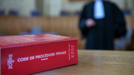 Un Français jugé à Paris pour de multiples viols et agressions sexuelles en Asie du Sud-Est
          Un prédateur sexuel présumé est jugé à partir du 3 novembre, soupçonné de dizaines de viols et d'agressions sexuelles sur des adolescents dans plusieurs pays d'Asie du Sud-Est.