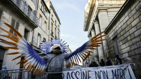 Procès des militants anti-bassines" de Sainte-Soline : six à douze mois de prison avec sursis requis pour les leaders des manifestations
          Le tribunal correctionnel de Niort a mis sa décision concernant les neuf prévenus en délibéré au 17 janvier.