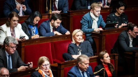 Recours RN devant le Conseil Constitutionnel sur la loi de finances: reproche de l’usage de l’article 49.3 Loi de programmation des finances publiques : les députés RN déposent un recours devant le Conseil constitutionnel
Le groupe d'extrême droite reproche en partie le fait que le déclenchement de l'article 49.3 sur ce texte ait été annoncé par le ministre des Relations avec le Parlement et non par la Première ministre.