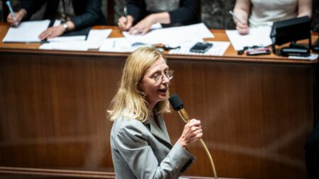 Retrait unanime de l’autorité parentale après certaines condamnations voté par l’Assemblée nationale Violences intrafamiliales : l'Assemblée nationale vote à l'unanimité le retrait de l'autorité parentale après certaines condamnations
"Grâce à votre texte, beaucoup d'enfants qui avaient peur vont pouvoir trouver une certaine sérénité", a salué lundi la secrétaire d'Etat à l'Enfance. Le texte doit désormais retourner au Sénat.