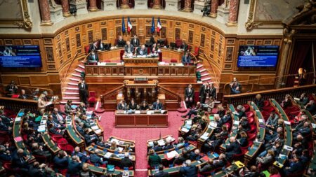 Sénat adopte texte reconnaissant « responsabilité » de la France pour condamnés pour homosexualité Personnes condamnées pour homosexualité : le Sénat adopte un texte pour reconnaître la "responsabilité" de la France
Le texte, adopté au Sénat mercredi, devra à présent être inscrit à l'ordre du jour de l'Assemblée nationale, en vue d'une adoption définitive.