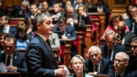 Sénat supprime article de régularisation des travailleurs sans papiers dans projet de loi immigration Projet de loi immigration : le Sénat supprime l'article sur la régularisation de travailleurs sans papiers dans les "métiers en tension"
Il s'agissait de la mesure la plus controversée du projet de loi, la droite estimant que cet article ouvrait la voie à une régularisation "massive".