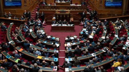 Sénateurs socialistes proposent loi pour réformer le Référendum d’Initiative Partagé (RIP) Le Parti socialiste remet le RIP sur le tapis
Les sénateurs socialistes vont déposer une proposition de loi pour réformer le référendum d’initiative partagé pour le rendre plus accessible.