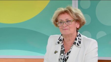« Victimes d’attaques » : hausse de 15% de violences contre les maires en France, selon la maire de Plaisir Violences contre les maires : "La plupart de mes collègues ont été victimes d'attaques", affirme la maire de Plaisir
Les violences contre les maires sont en hausse de 15% en un an en France. "Ce sont des chiffres angoissants", réagity Joséphine Kollmannsberger, invitée du 12/13 info lundi.