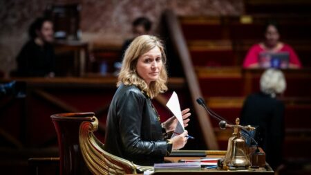 Yaël Braun-Pivet, présidente de l’Assemblée, plaide pour deux Etats dans la guerre Israël-Hamas, selon ligne historique de la France Vidéo
Guerre entre Israël et le Hamas : la présidente de l'Assemblée nationale Yaël Braun-Pivet "plaide pour deux Etats", positionnée "sur la ligne historique de la France"
"En aucun cas, je n'ai apporté mon soutien ou le soutien de l'Assemblée nationale au gouvernement israélien", a insisté dimanche sur France 3 Yaël Braun-Pivet, présidente de l'Assemblée nationale et députée Renaissance des Yvelines.