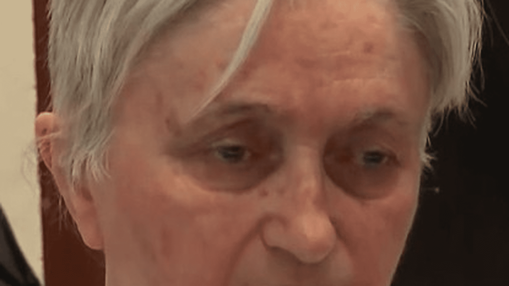 Procès de Monique Olivier : l'ex-femme de Michel Fourniret interrogée sur la disparition d'Estelle Mouzin mercredi
          Monique Olivier a répondu pour les cas de Marie-Angèle Domèce et de Joanna Parish. Mercredi 6 décembre, elle doit prendre la parole sur la disparition d'Estelle Mouzin.
