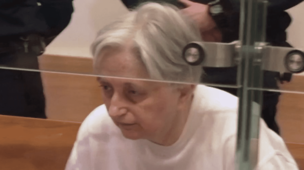 Procès de Monique Olivier : la douleur de la famille d’Estelle Mouzin
          Les membres de la famille d’Estelle Mouzin ont témoigné mercredi 6 décembre lors du procès de Monique Olivier. La famille s’est dite meurtrie par la disparition de la petite fille qui avait 9 ans à l’époque.