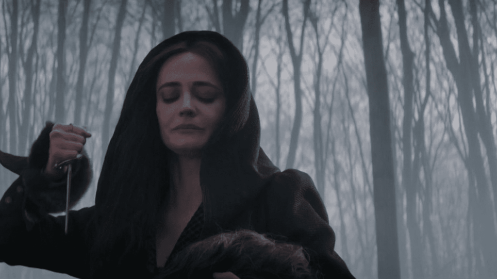 Cinéma : "Les Trois Mousquetaires" reviennent avec "Milady", incarnée par Eva Green
          "Milady", la deuxièmes partie des "Trois Mousquetaires", sortira en salles mercredi 13 décembre. Mardi, de nombreux spectateurs sont venus découvrir les aventures de Milady, interprétée par Eva Green, à l'avant-première parisienne du film.