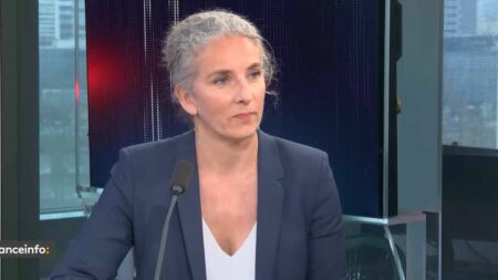 Vote de rejet du projet de loi immigration : "En tant qu'écologiste je ne peux pas voter sur ce sujet avec l'extrême droite", dénonce Delphine Batho
          Delphine Batho est la seule députée du groupe Écologiste à l'Assemblée à avoir voté lundi contre la motion de rejet du projet de loi immigration.