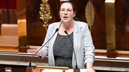 Députée écologiste Cyrielle Chatelain accuse un élu Renaissance de menace: réclame sanction contre Jean-René Cazeneuve "Tu seras tondue à la Libération" : la députée écologiste Cyrielle Chatelain accuse un élu Renaissance de l'avoir menacée
Dans une lettre adressée à la présidente de l'Assemblée nationale, la patronne des députés écologistes réclame une sanction contre le député Jean-René Cazeneuve, qui dément avoir tenu ces propos.